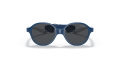 VJ2012