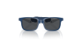 VJ2017