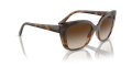 VO5337S