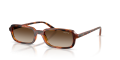 VO5666S