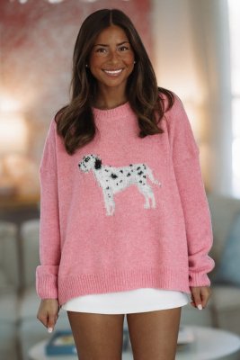 Pawsitively Cozy Sweater - Pink (FINAL SALE)